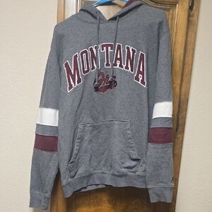 Champion Gray and Maroon Montana Hoodie